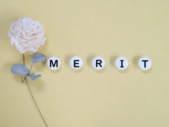 ニーケのメリット