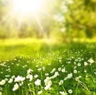 映満（えま）先生