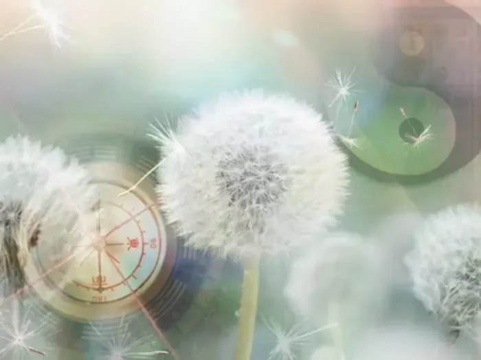 美蛇先生 (ミイ)【退職】