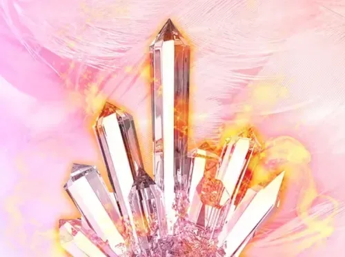 ミネルヴァ先生