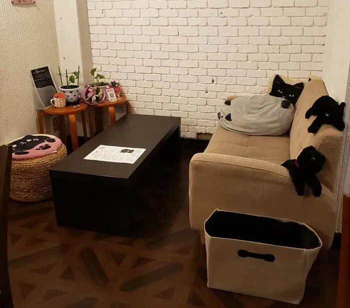 占いCafe＆Bar 黒ねこさん