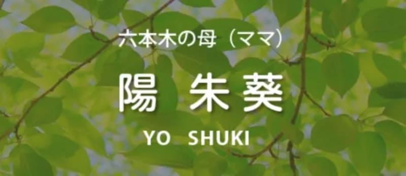 六本木の母｜陽朱葵（ようしゅき）先生