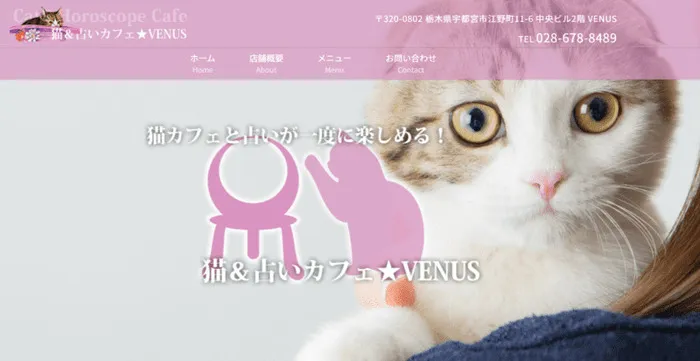 猫&占いカフェ★venus｜未来歩美（みきあゆみ）先生