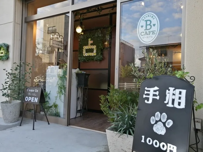 占い館BCAFE 千葉柏店
