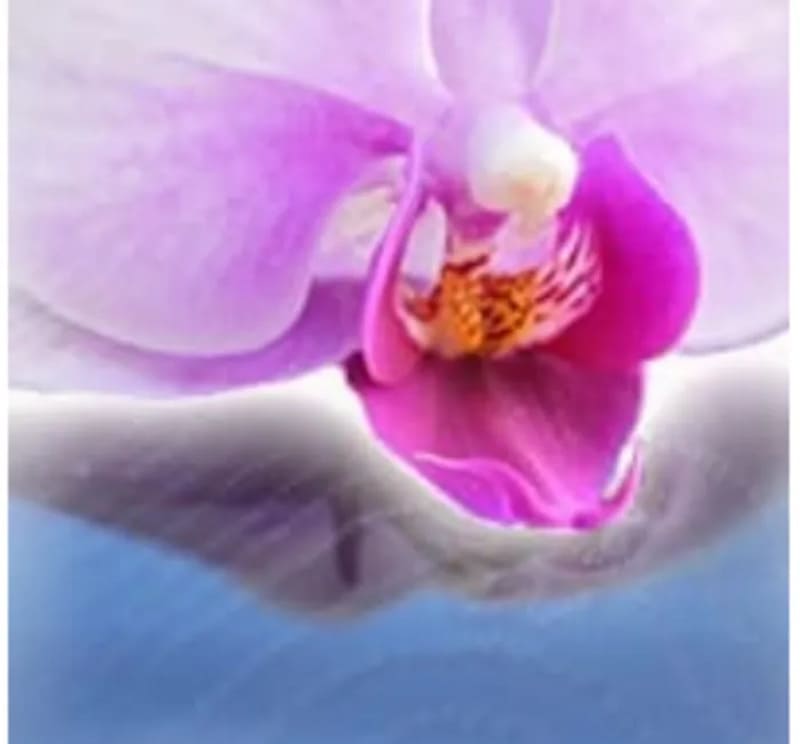 電話占いリエル｜宝来衣（たからい）先生