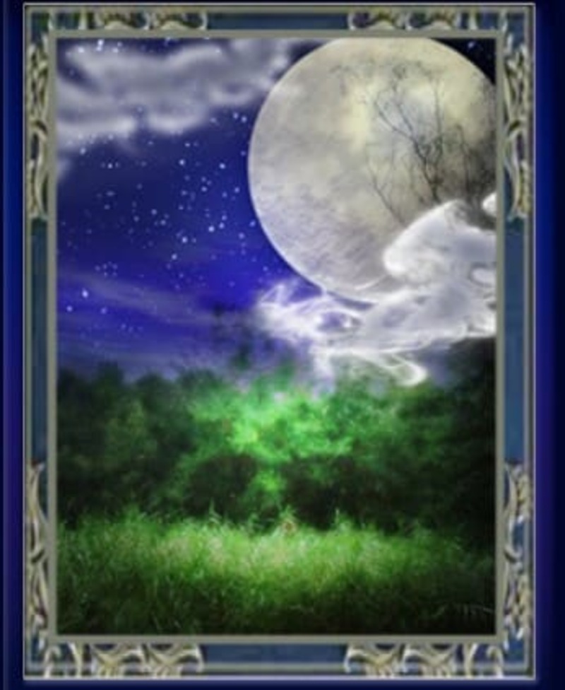 電話占いウィル　妙鈴法先生