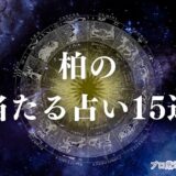 柏 占い　アイキャッチ