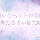 電話占い ペットの気持ち　アイキャッチ