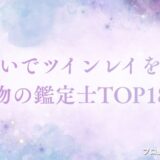 ツインレイ 電話占い　アイキャッチ