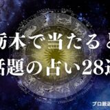 栃木 占い　アイキャッチ