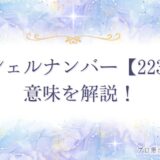 2233 エンジェルナンバー