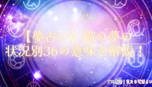 【夢占い】猫の夢はいい夢？悪い夢？状況別36の意味を解説！