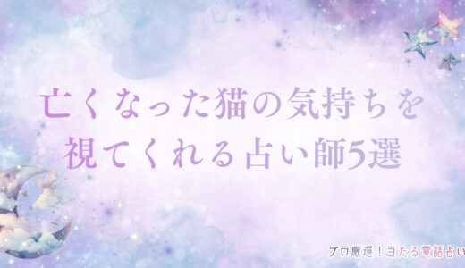 亡くなった猫の気持ちとは？知る方法や信頼できる占い師を紹介