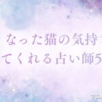 亡くなった猫の気持ち　アイキャッチ